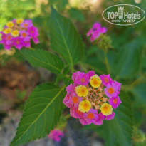 фото из отзыва ID 2254064