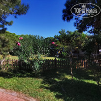 фото из отзыва ID 2254064