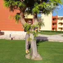 фото из отзыва ID 2254145