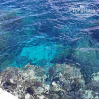 фото из отзыва ID 2254145