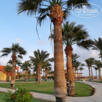 фото из отзыва ID 2254145