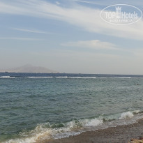 фото из отзыва ID 2254171