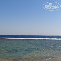 фото из отзыва ID 2254171