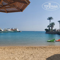 фото из отзыва ID 2254208