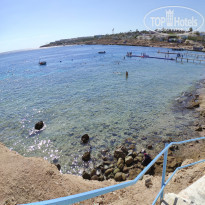 фото из отзыва ID 2254245