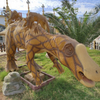 фото из отзыва ID 2254245