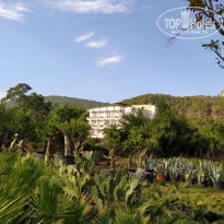 фото из отзыва ID 2254047