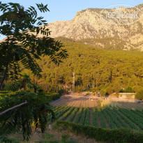 фото из отзыва ID 2254047