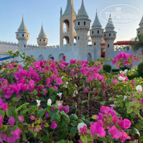 фото из отзыва ID 2254339