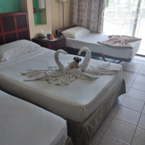 фото из отзыва ID 2252649