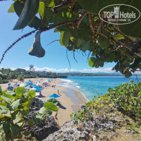 фото из отзыва ID 2254383