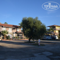 фото из отзыва ID 2254502