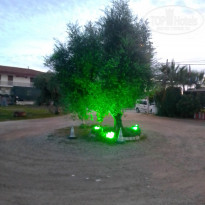 фото из отзыва ID 2254502