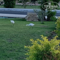 фото из отзыва ID 2254616