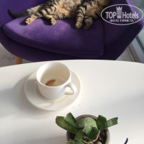 фото из отзыва ID 2254640