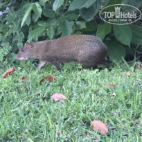 фото из отзыва ID 2254637