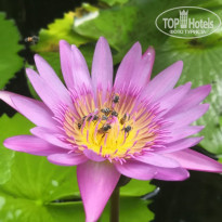 фото из отзыва ID 2254668