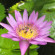 фото из отзыва ID 2254668