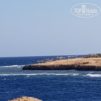 фото из отзыва ID 2254780