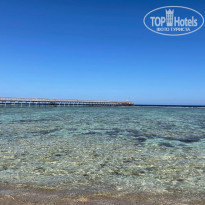 фото из отзыва ID 2255000