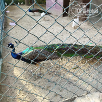 фото из отзыва ID 2254957