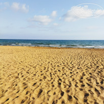 фото из отзыва ID 2254957