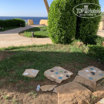 фото из отзыва ID 2255065