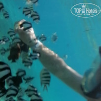 фото из отзыва ID 2255090