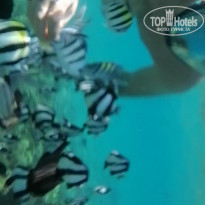 фото из отзыва ID 2255090