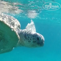 фото из отзыва ID 2255090