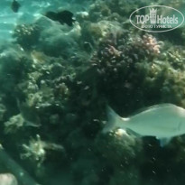 фото из отзыва ID 2255090