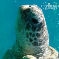 фото из отзыва ID 2255090