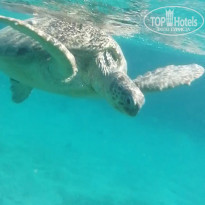 фото из отзыва ID 2255090