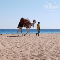 фото из отзыва ID 2255090