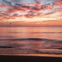 фото из отзыва ID 2255090