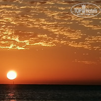 фото из отзыва ID 2255090