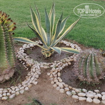 фото из отзыва ID 2255090