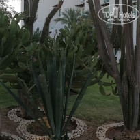 фото из отзыва ID 2255090