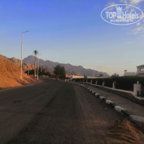 фото из отзыва ID 2255050