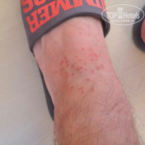 фото из отзыва ID 2255050