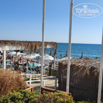 фото из отзыва ID 2255139