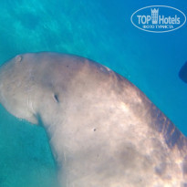 фото из отзыва ID 2255131