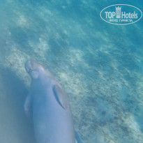 фото из отзыва ID 2255131