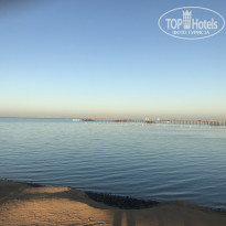 фото из отзыва ID 2255170