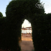 фото из отзыва ID 2255164