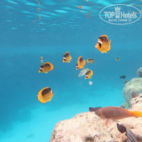 фото из отзыва ID 2255164