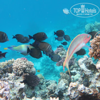 фото из отзыва ID 2255164