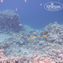 фото из отзыва ID 2255164