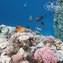 фото из отзыва ID 2255164