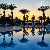 фото из отзыва ID 2255264